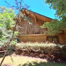 Swedish Cope Log Cabin Staining In Ellijay GA 4